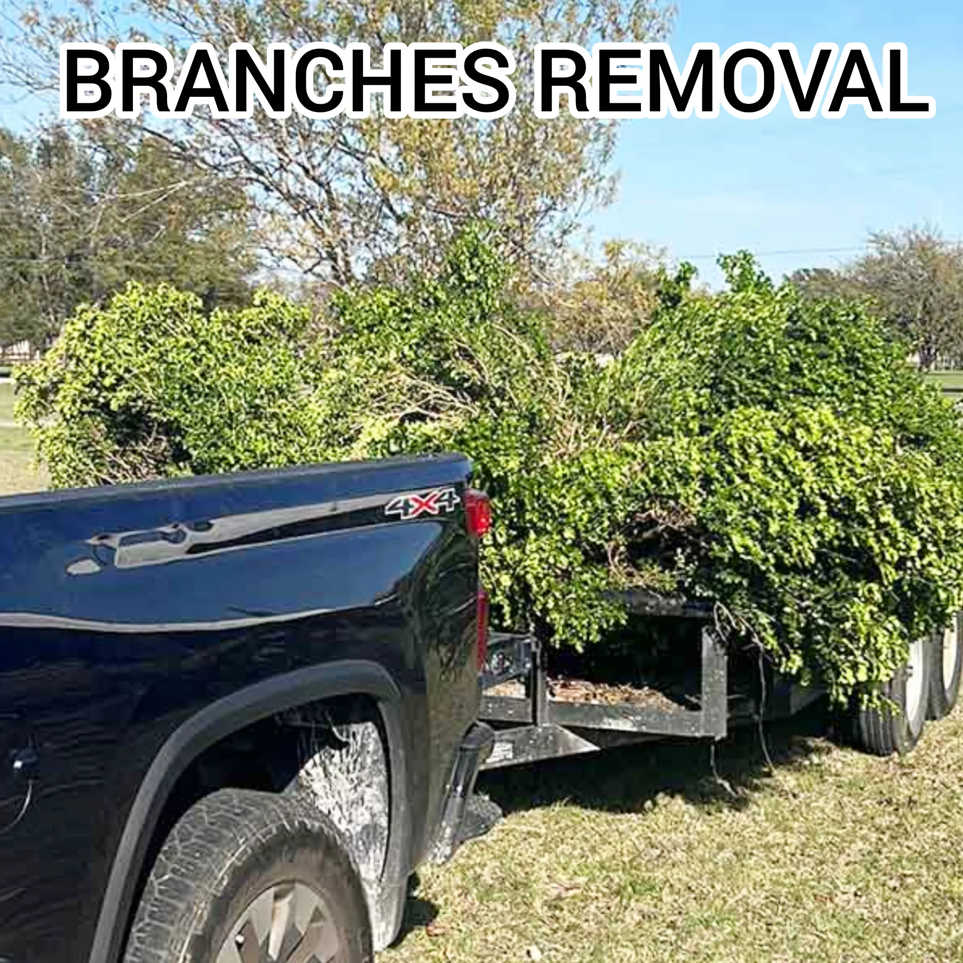 Branches and yard waste removal Owings Mills